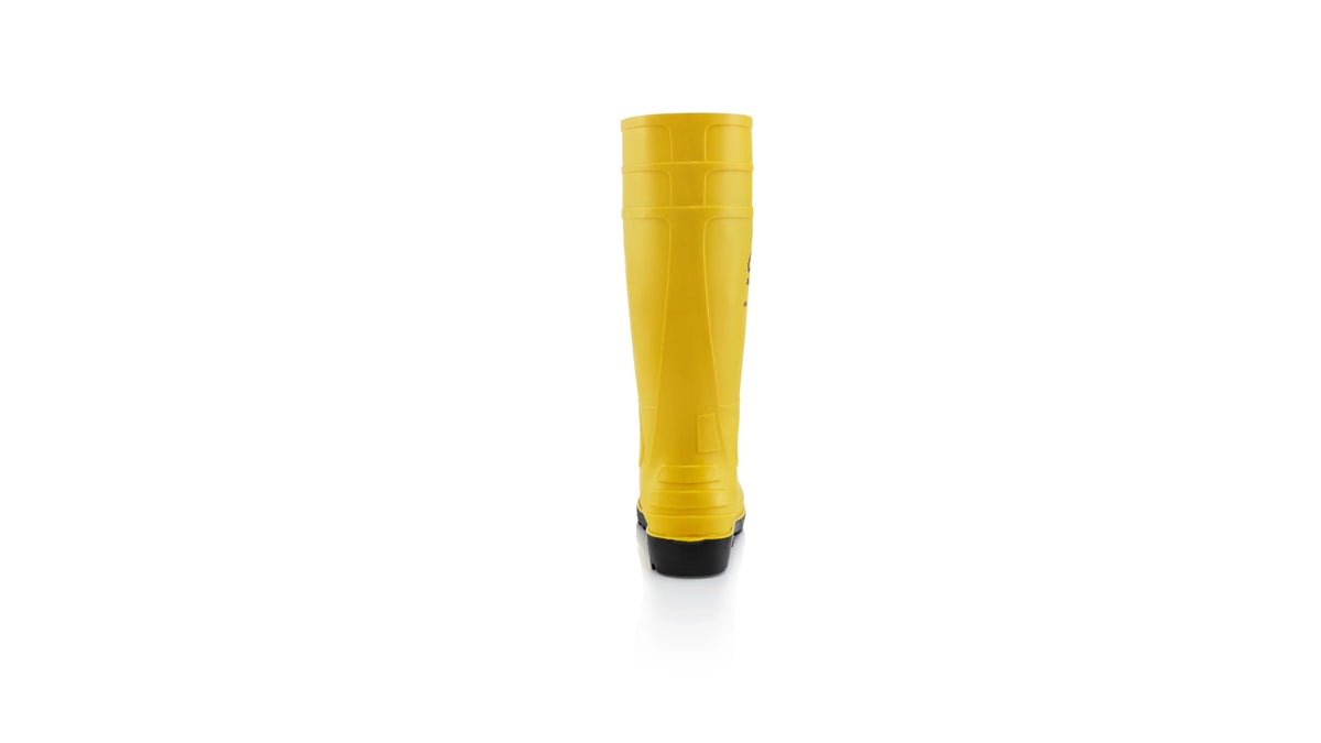 MEFO 62071