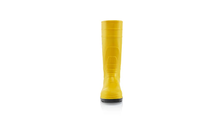 MEFO 62072