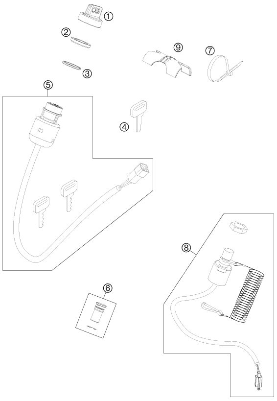 Náhled schématu INSTRUMENTS / LOCK SYSTEM