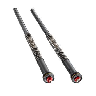 Cartridge APEX PRO 6500 do přední vidlice KTM 790 Duke