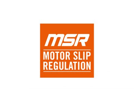 Foto - MOTOR SLIP REGULATION (MSR)